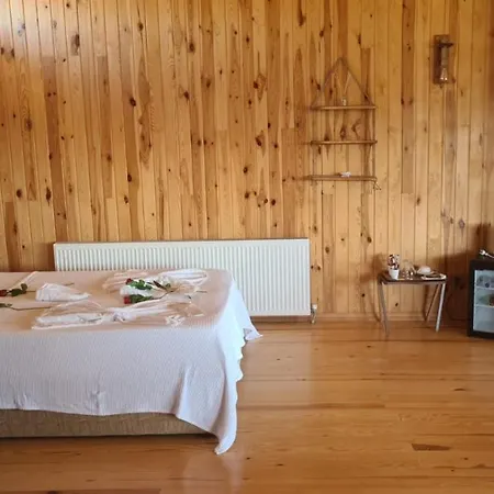 Гостевой дом Panorama Hotel *